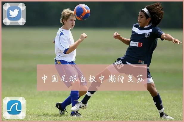 中国足球自救中期待复苏