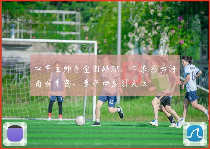 中甲主帅李金羽辞职，下家或为河南或青岛，妻子回应引关注
