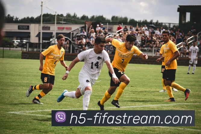 世界杯手机直播网站服务体系